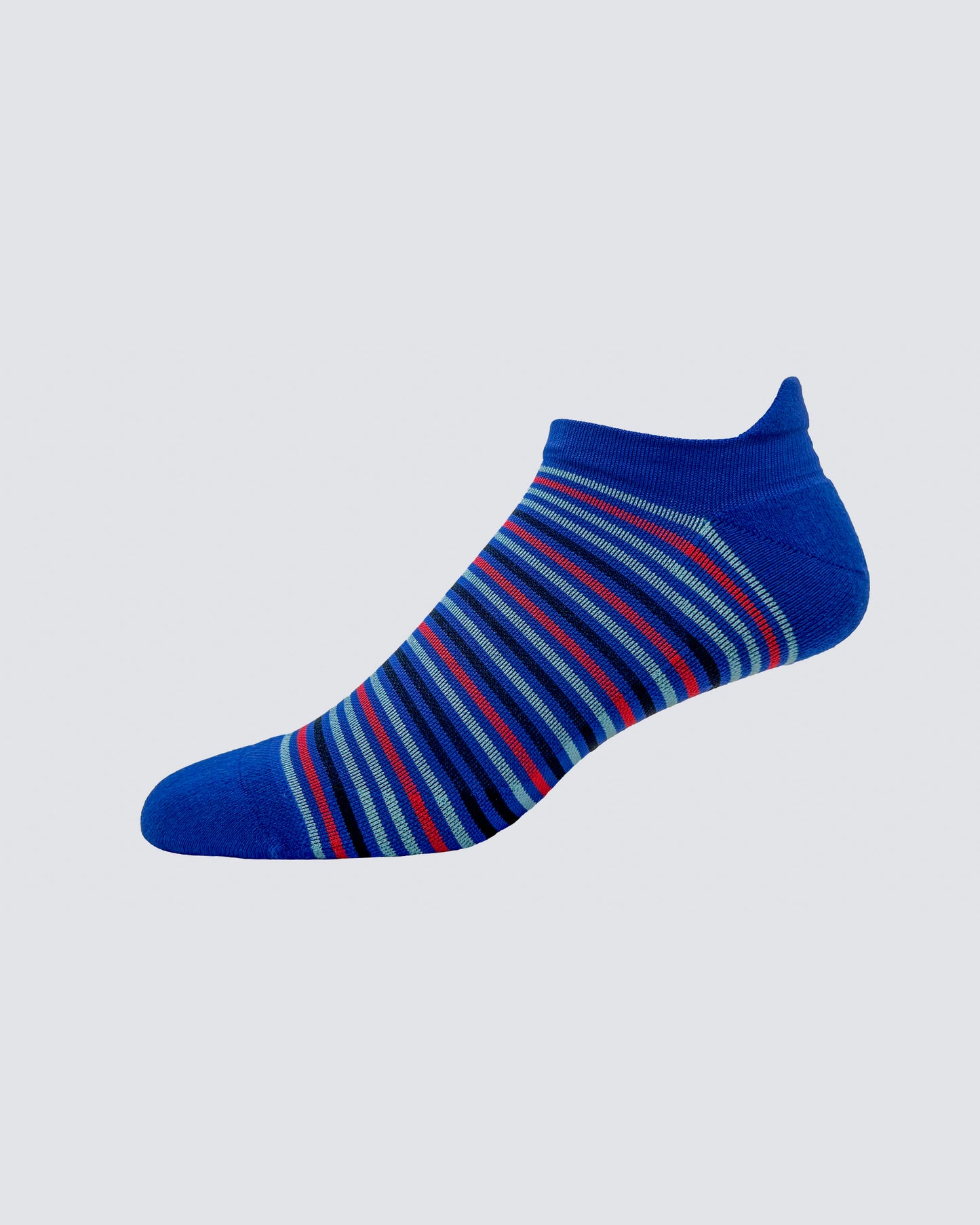 Dudley Stripe Socks in Olympic