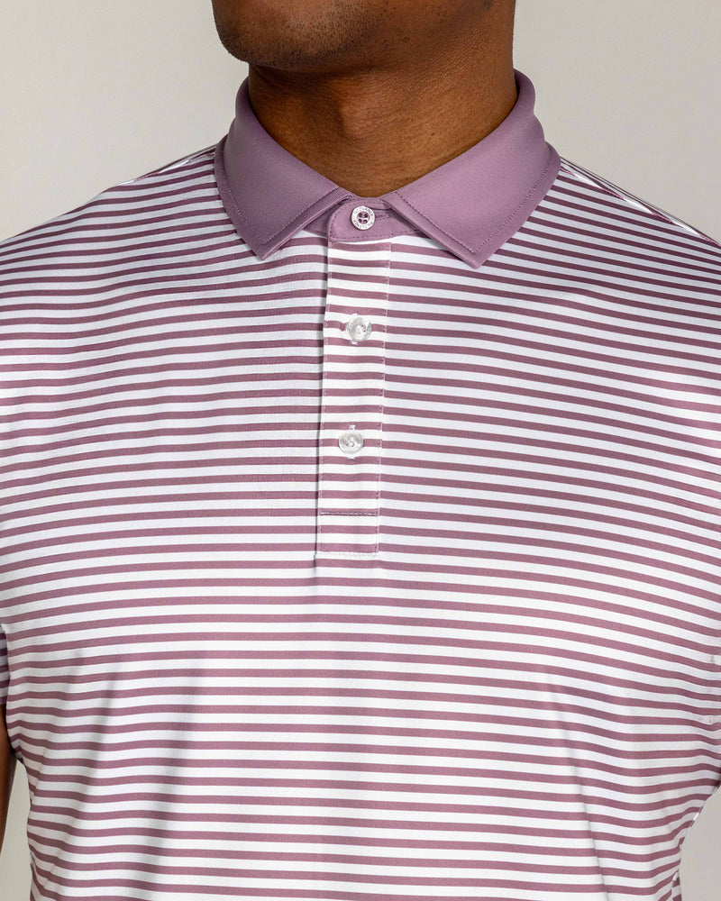 Baker Polo in Lilac