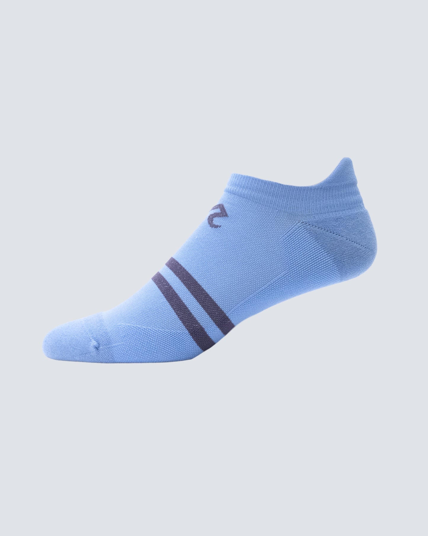 Roan Stripe Socks in Blue